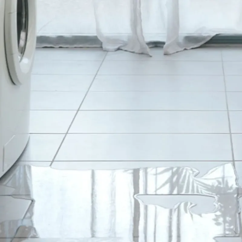 Appliance Leak Cleanup in Dexter, MI