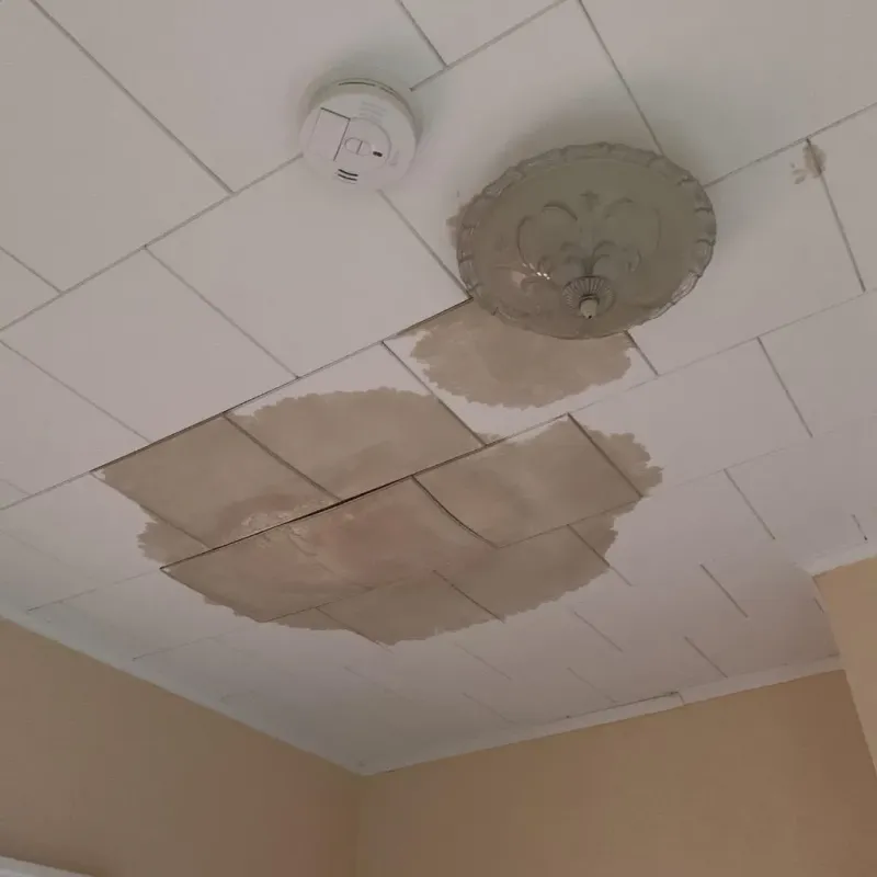 Ceiling Water Damage Repair in Dexter, MI