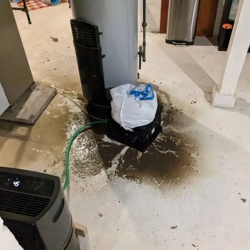 Sewage Backup Cleanup Service in Dexter, MI